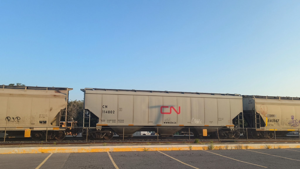 CN 114802